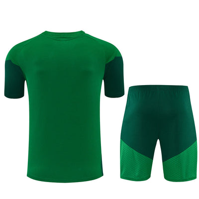 Ensemble Maillot Short Algerie Homme/Enfant 2026 2027 Vert