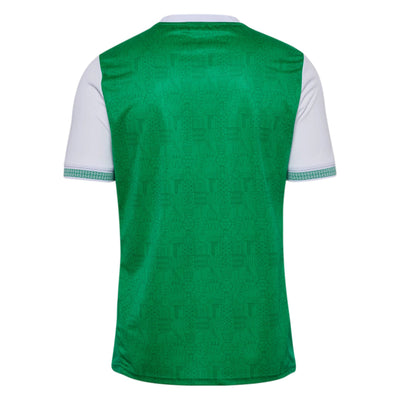 Maillot Saint Etienne Domicile Homme 2025 2026 Vert | Foot Sport