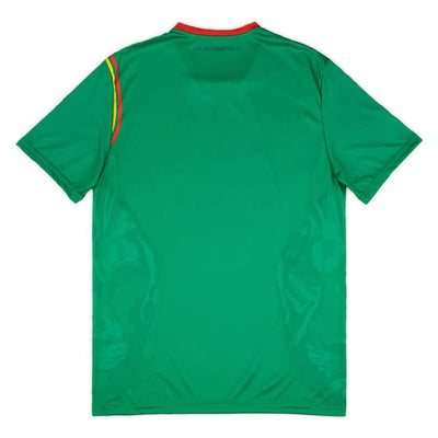Maillot Cameroun Homme Domicile 2022 | Foot Sport