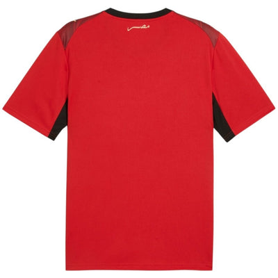 Maillot Egypte Coupe de Monde Domicile 2026 2027