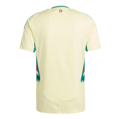 Maillot Pays de Galles Homme Exterieur 2024 2025 | Foot Sport