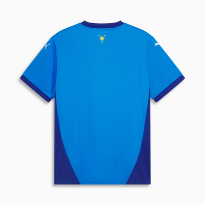 Maillot Philippines Domicile Homme 2025