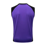 Debardeur Short Allemagne Homme 2024 2025 Violet 4