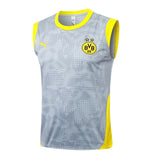 Debardeur Short BVD Dortmund Homme 2025 2026 Gris 3