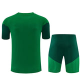 Ensemble Maillot Short Algerie Homme/Enfant 2026 2027 Vert 2