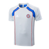 Ensemble Maillot Short Bayern Munich Homme 2025 2026 Gris | Foot Sport 3