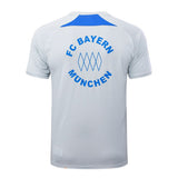 Ensemble Maillot Short Bayern Munich Homme 2025 2026 Gris | Foot Sport 4