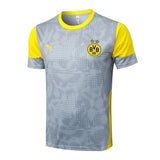 Ensemble Maillot Short BVD Dortmund Homme 2025 2026 Gris 3