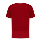 Maillot Al Ahly Domicile Homme 2025 2026 2