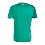 Maillot Irlande du Nord Coupe de Monde Domicile Homme 2026 2