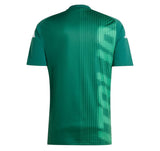 Maillot Italie Pre Match Homme 2024 2025 | Foot Sport 2