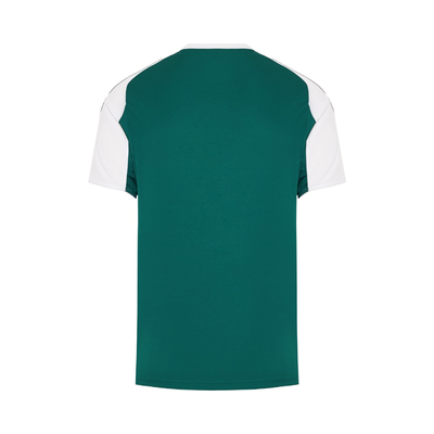 Maillot Panathinaikos Domicile 2 Homme 2025 2026