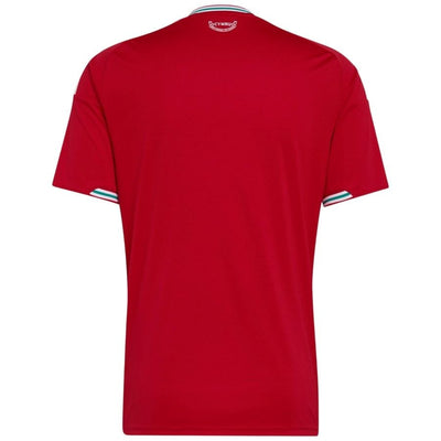 Maillot Pays de Galles Homme Domicile 2026 2027 | Foot Sport