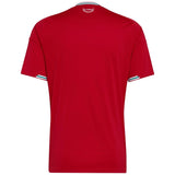 Maillot Pays de Galles Homme Domicile 2026 2027 | Foot Sport 2