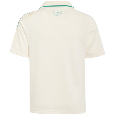 Maillot Pays de Galles Homme Exterieur 2026 2027