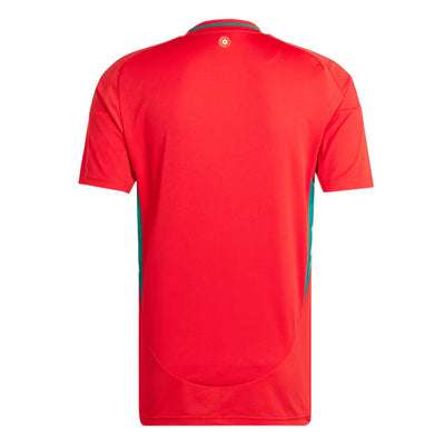 Maillot Pays de Galles Homme Domicile 2024 2025 | Foot Sport