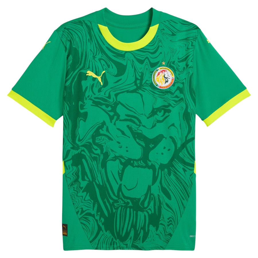 Maillot Senegal CAN Homme Exterieur 2025 2026 | Foot Sport