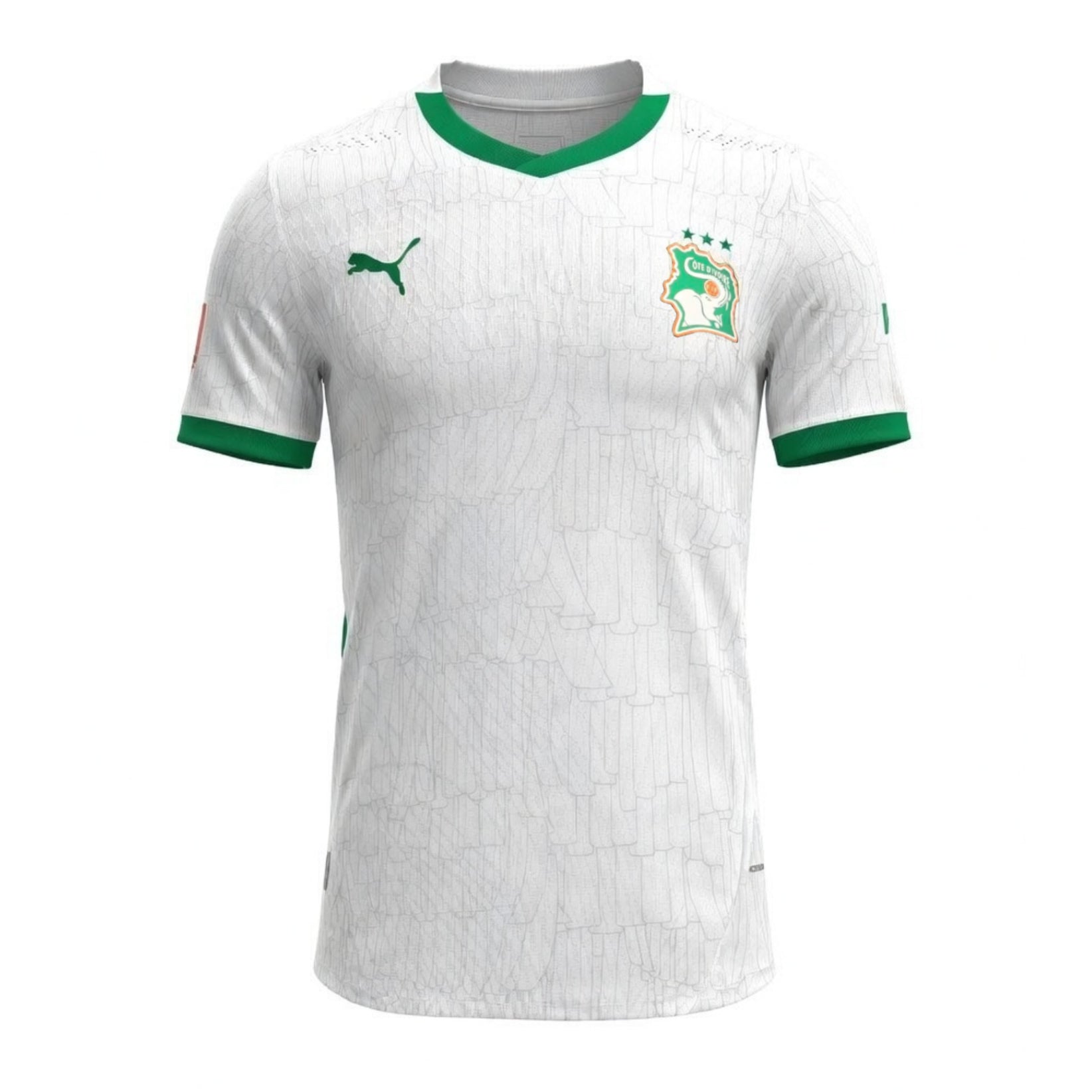 Maillot Blanc Cote d'Ivoire CAN 2025 2026 Version Match