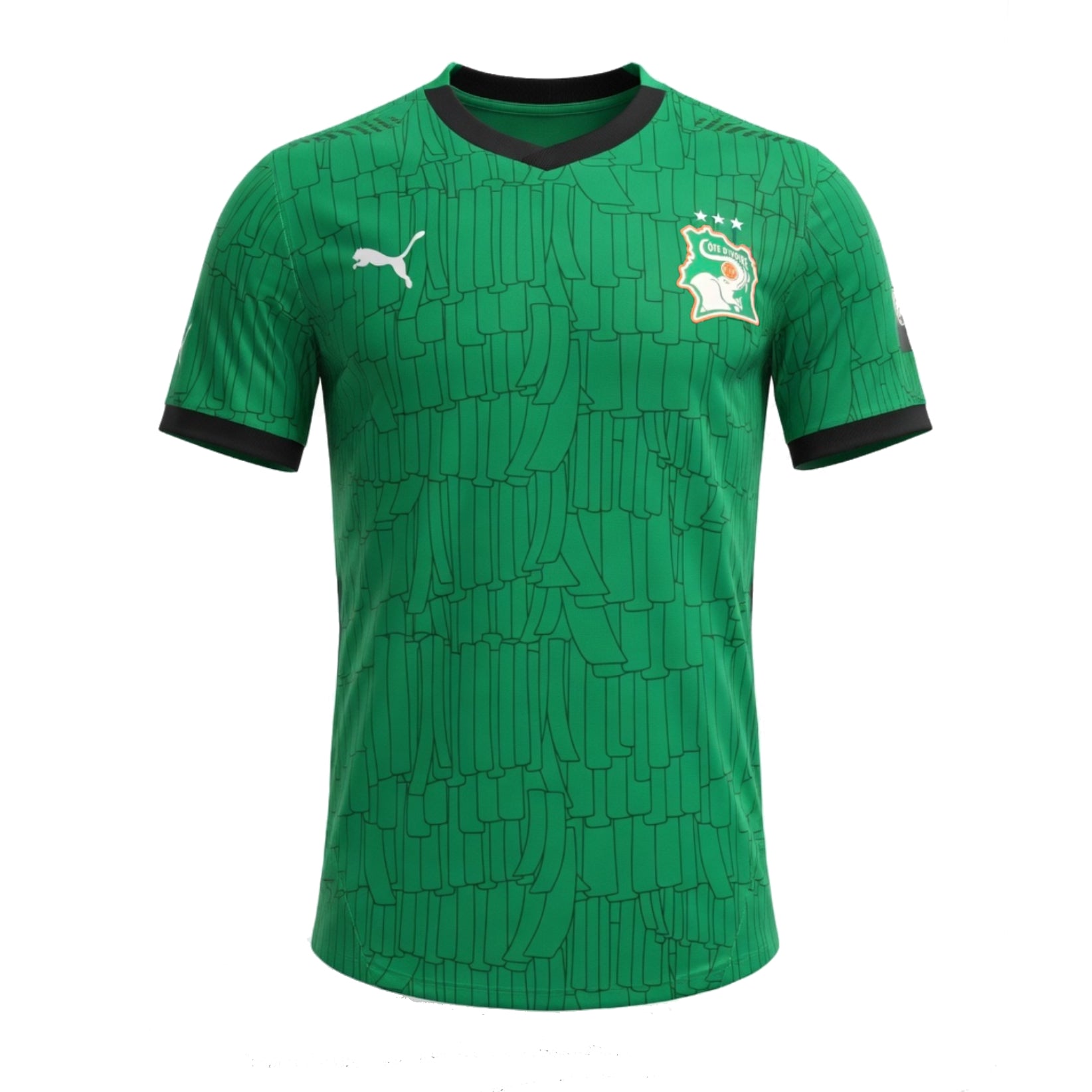 Maillot Vert Cote d'Ivoire CAN 2025 2026 Version Match